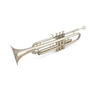 Standard Brass Silver trumpet in B flat lacquer gold brass two-color optional band performance for adult students beginners