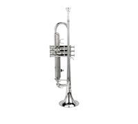 Standard Brass Silver trumpet instrument B flat professional playing three tone trumpet beginner student