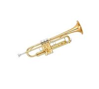 Standard Brass Standard B flat trumpet instrument for beginners wind instrument for adults entry level examination