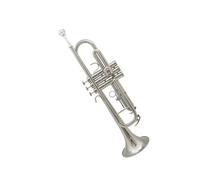 Standard Brass Student Beginner Musical Instrument B flat Children Adult School General Group Professional Performance Examination(Color:Silver)