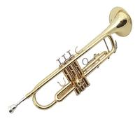 Standard Brass Students are learning the B flat trumpet instrument and Western brass adult band playing lacquer gold