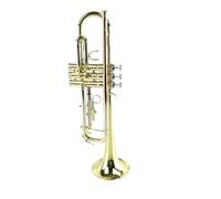 Standard Brass Three-color three-tone trumpet instrument in B flat with gold surface