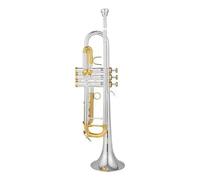 Standard Brass Trumpet Anniversary Silver Trumpet Flat Instrument Brass Student