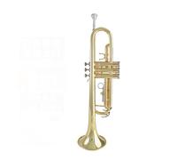 Standard Brass Trumpet B flat Beginner entry-level professional college examination performance instrument