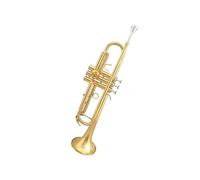 Standard Brass Trumpet B flat lacquered brass trumpet instrument(Color:Brass)