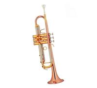 Standard Brass Trumpet B flat phosphor bronze trumpet cupronickel pitch tube advanced self-study