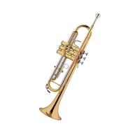 Standard Brass Trumpet B-flat professional trumpet phosphor bronze mouthpiece grade examination