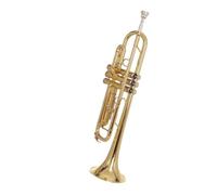 Standard Brass Trumpet Bb B flat brass trombone exquisite and durable trumpet instrument with mouthpiece gloves shoulder strap box(Color:Gold)