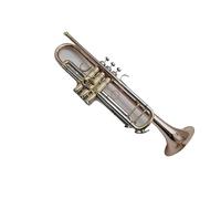 Standard Brass Trumpet Bb Brass Instrument Professional Accessories with Box