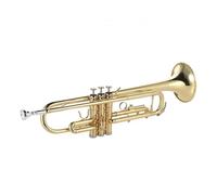 Standard Brass Trumpet Bb Flat Mouth Brass Gold Plated Exquisite and Durable Brass Instrument with Trumpet Mouthpiece Gloves Strap Case