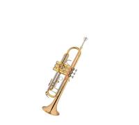 Standard Brass Trumpet Beginner Grade Examination School Primary School Student Wind Band Brass Instrument
