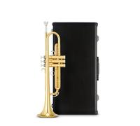 Standard Brass Trumpet Brass in B-flat for beginners entry-level examination for adults professional playing in Bb