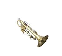 Standard Brass Trumpet in B flat Beginner's examination General trumpet instrument Wind band Drum and bugle corps