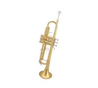 Standard Brass Trumpet in B flat Beginner's Grade Examination General Trumpet Instrument Professional Trumpet