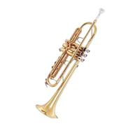 Standard Brass Trumpet in B flat beginner's grade examination performance band children's adult brass instrument gold