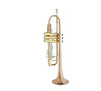 Standard Brass Trumpet in B flat for beginners to play the musical instrument for grading examination