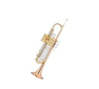 Standard Brass Trumpet in B flat for school orchestra upgraded model for self-study