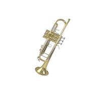 Standard Brass Trumpet in B flat for students adults and beginners universal playing type exquisite and durable musical instrument