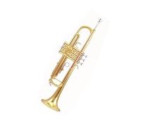Standard Brass Trumpet in B flat lacquer gold a good choice for home teaching for beginners school orchestra