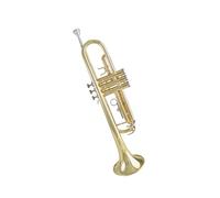 Standard Brass Trumpet in the key of B a general trumpet instrument for beginners to learn