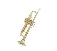 Standard Brass Trumpet instrument B flat Beginner performance examination professional orchestra