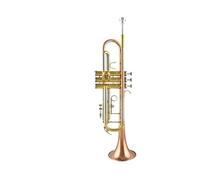 Standard Brass Trumpet instrument B flat beginner performance test phosphor bronze winding self-taught advanced level