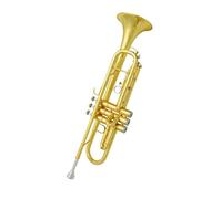 Standard Brass Trumpet Instrument B Flat Beginner Young Pioneers Performance Examination Professional