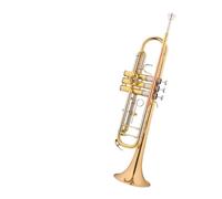 Standard Brass Trumpet instrument B flat children's beginner student playing brass western wind instrument