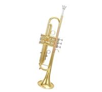 Standard Brass Trumpet instrument B flat for beginners to learn trumpet