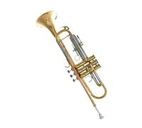 Standard Brass Trumpet instrument B flat horn silver plated lacquer gold beginner trumpet playing