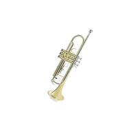 Standard Brass Trumpet instrument B flat J primary school students beginner drum band professional performance