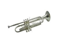 Standard Brass Trumpet Instrument B Flat Nickel Plated Beginner Grade Examination Professional Recommendation