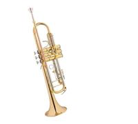 Standard Brass Trumpet instrument B flat phosphor bronze mouthpiece white copper changing pipe professional school wind band