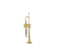 Standard Brass Trumpet instrument B flat professional orchestra performance grade gold model