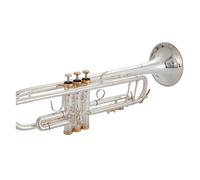 Standard Brass Trumpet instrument B flat student grade brass gold copper lacquer gold(Color:Silver)