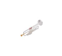 Standard Brass Trumpet instrument B flat trumpet beginner performance test professional band teaching