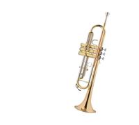 Standard Brass Trumpet instrument B flat trumpet phosphor bronze mouthpiece white copper pitch tube for beginners