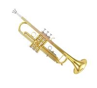 Standard Brass Trumpet instrument B tuning grade performance brass phosphor bronze professional two-color model