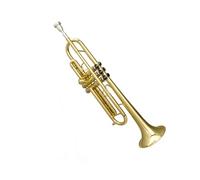 Standard Brass Trumpet instrument beginner performance level adult B flat lacquer gold