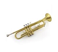Standard Brass Trumpet instrument gold silver B flat entry level performance test(Color:Gold)