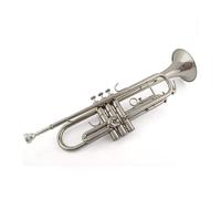Standard Brass Trumpet instrument gold silver B flat entry level performance test(Color:Silver)