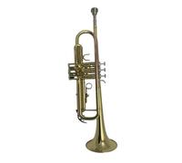 Standard Brass Trumpet instrument gold silver plated phosphor bronze beginner grade examination professional performance(Color:Gold)