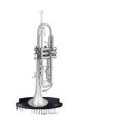 Standard Brass Trumpet instrument in B flat for beginners entry level examination school orchestra universal trumpet nickel plated