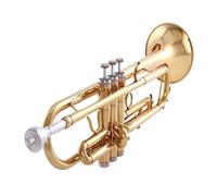Standard Brass Trumpet instrument in B flat for beginners to take exams for school orchestra performance