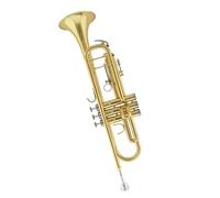 Standard Brass Trumpet instrument in B flat for beginners universal brass trumpet military band school wind band