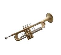 Standard Brass Trumpet instrument in B-flat key accentuated frosted Western brass wind instrument played by a professional band