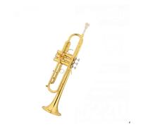 Standard Brass Trumpet instrument performance examination wind instrument brass paint gold