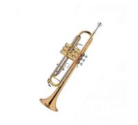 Standard Brass Trumpet instrument performance examination wind instrument Dong copper phosphor bronze lacquer gold