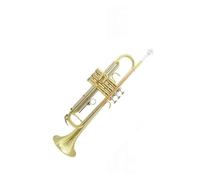 Standard Brass Trumpet instrument performance examination wind instrument phosphor bronze lacquered gold