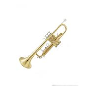 Standard Brass Trumpet instrument performance test wind instrument brass nickel plated